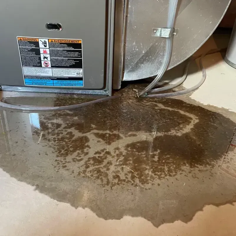 Appliance Leak Cleanup in Harrison, NJ